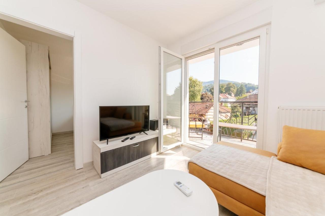 Apartman Jovana Banja Koviljača Extérieur photo